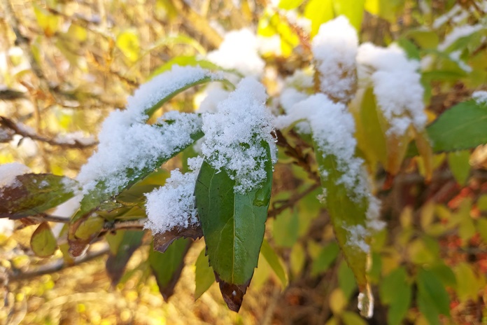 ORAI: Šeštadienio dieną kai kur nedideli krituliai, daugiausia lietus. Vakare vietomis plikledis