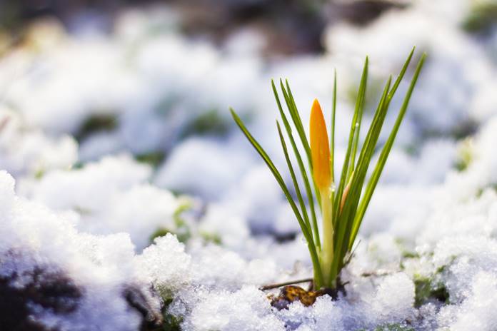 ORAI: Lietuvą pasieks šiluma iki 14°C, lietus traukiasi