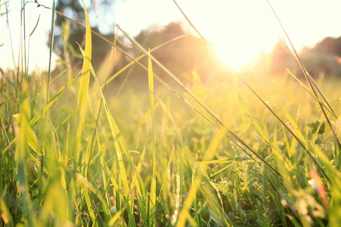 ORAI: Šiandien trumpi lietūs, perkūnija, šiluma iki 30°C