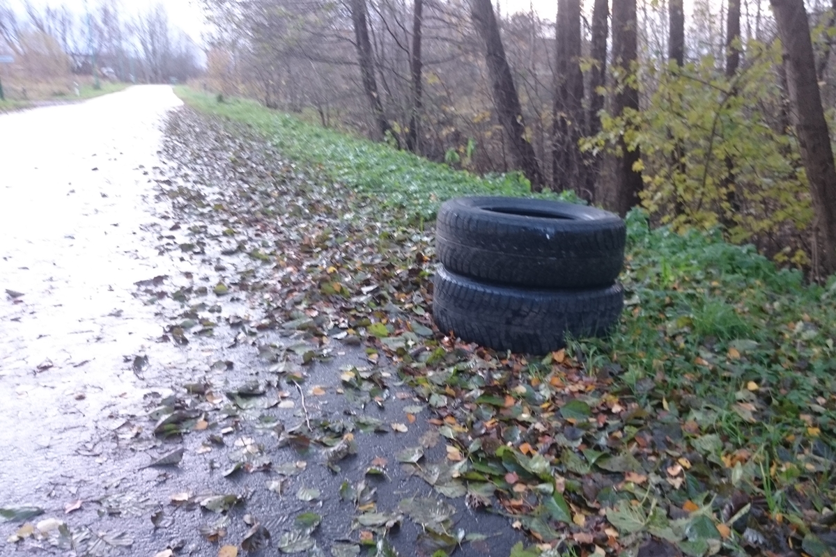 Išmestos padangos Palangoje. Nuotrauka Irmanto Dauginčio.